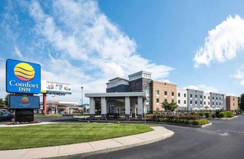 Rehoboth Beach Hotel | Comfort Inn Rehoboth Beach