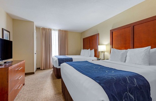 Fredericksburg Hotel | Comfort Suites Fredericksburg South