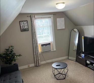 Lynn Apartment | Comfortable 1 bedroom apartment attic