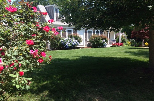 East Orleans House | Comfortable, Cozy & Spacious Orleans Cottage on Quiet Road & Close to Everything