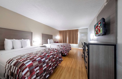 Charlottesville Hotel | Comfortable & Pet-Friendly Room Perfect for Budget Travelers in Charlottesville