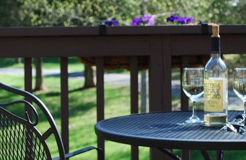 Rileyville Cabin | Competitive Prices, Beautiful Views, River, Fun Activities, Not Far from Dc
