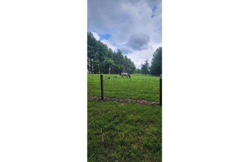 Elkton Apartment | Country Get Away Studio Apartment