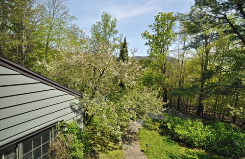 Woodstock House | COUNTRY HOME Fenced Backyard, 1 mi. to Town, Kids & Dogs OK!