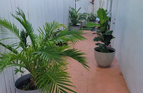 Allapattah Apartment | Cozy Apartment Near Wynwood!