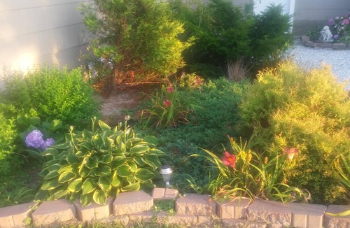 Villas Cottage | Cozy,beach 100 steps away, PETS OKAY, minimum stay 3nts