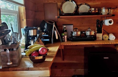 Hot Springs Cabin | Cozy Cabin in the Pines