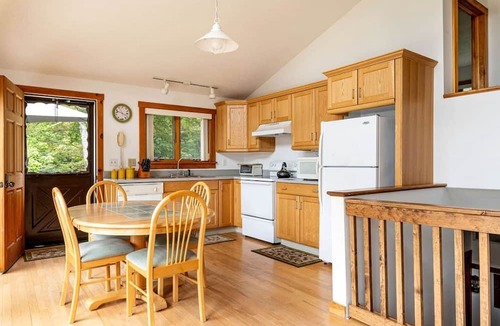 Franklin Cabin | Cozy Cabin Retreat with Fire Pit, Sauna & Game Room in Franklin, New York