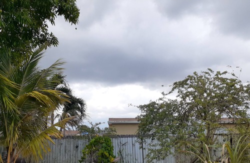 Carol City House | Cozy In Miami Gardens