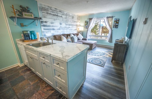 Edray Condo | Cozy Ski Condo in a Winter wonderland at Snowshoe, West Virginia
