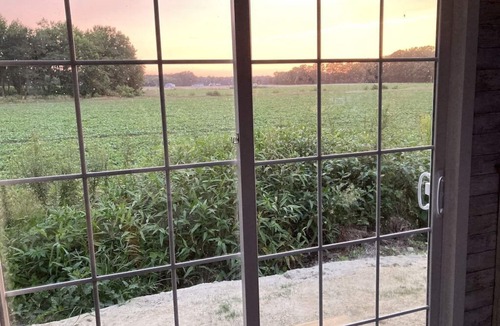 Selbyville Cottage | Destination Location! Farm Animals, Tours, Beaches