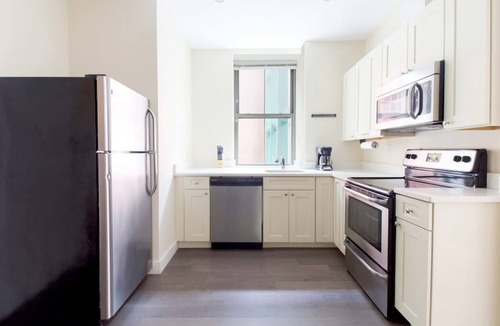Downtown Boston Apartment | Downtown Luxury 1BR | Pets Welcome | W/D in Bldg