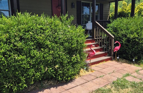 Afton Cottage | Enjoyable 2-bedroom cottage in Afton Virginia. 1.5 miles from the best winery!