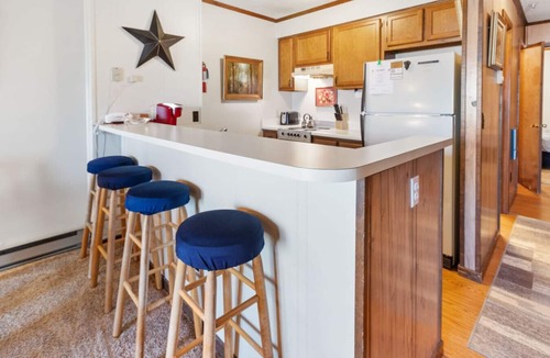 Snowshoe Apartment | Entire Condo Near The Slopes