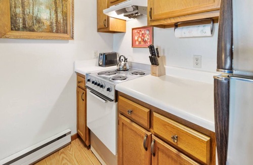 Snowshoe Apartment | Entire Condo Near The Slopes