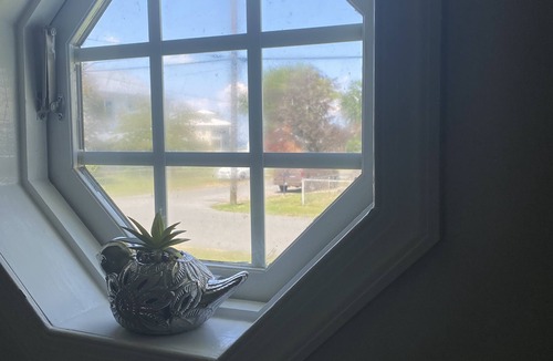 Issue House | Escape with your pet to Sunny Place Cottage!