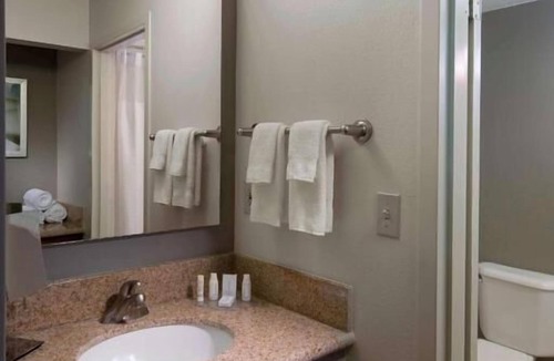 Boca Raton Hotel | Everything You Need For The Perfect Vacation! Pet-friendly, Free Parking, Pool!