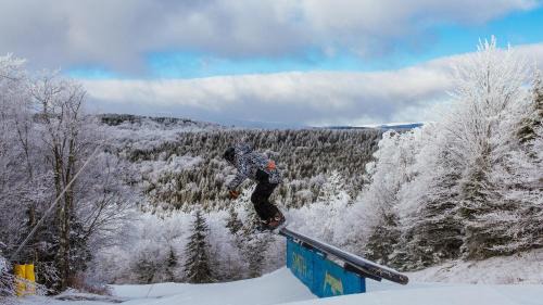 Edray Apartment | Expedition Station Trail Resort Ski-in-Ski-out