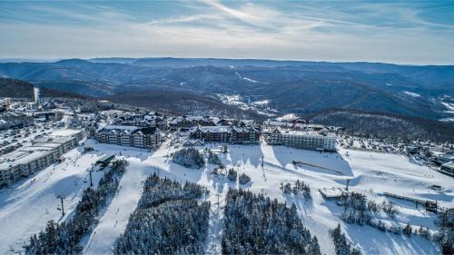 Edray Apartment | Expedition Station Trail Resort Ski-in-Ski-out