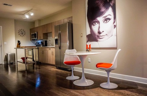 Central Business District Apartment | FABULOUS MID-CENTURY MODERN DESIGNED UNIT IN DOWNTOWN ROCHESTER
