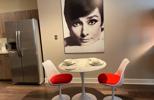 Central Business District Apartment | FABULOUS MID-CENTURY MODERN DESIGNED UNIT IN DOWNTOWN ROCHESTER