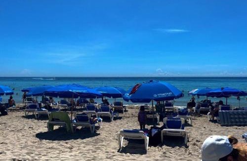 Hallandale Beach Apartment | Feel the Miami Vibe , Cozy & Stylish Studio Stay