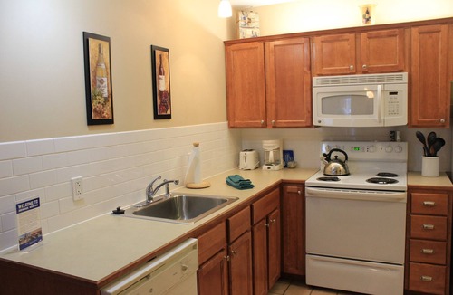 Edray Condo | First Floor Allegheny Springs with Private Entrance-free pool use,slopeside,A/C
