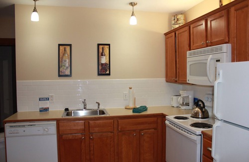 Edray Condo | First Floor Allegheny Springs with Private Entrance-free pool use,slopeside,A/C