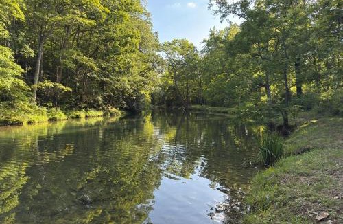 Glace House | Fishing Trips & Waterfall Hikes! Alleghany Cottage