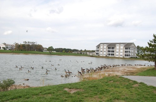 Ocean View Condo | FREE DAILY ACTIVITIES INCLUDED! Only a few miles from Bethany Beach this beautifully decorated second floor unit offers 2 bedrooms with 2 full baths and is nestled within unspoiled land and gently lapping inland waterways