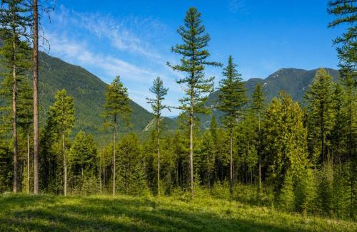 Whitefish Villa | Glacier Luxury Retreat Elk View Cabin 1