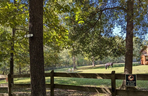 Clayton Cabin | Glamping at Tiny House! Perfect Romantic Cabin Getaway on Horse Farm