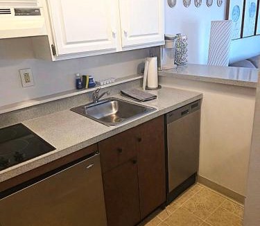 Hancock Apartment | Gorgeous New Zen Suite Sleeps 4-Ski On Off Jiminy
