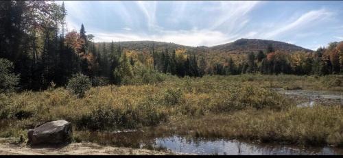 Olmstedville Other | Gorgeous Yurt in the Adirondacks for a Unique Glamping Getaway near Minerva, New York