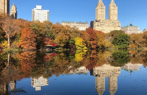 Snyder Square House | Graduate King - Accessible Room at Graduate Roosevelt Island