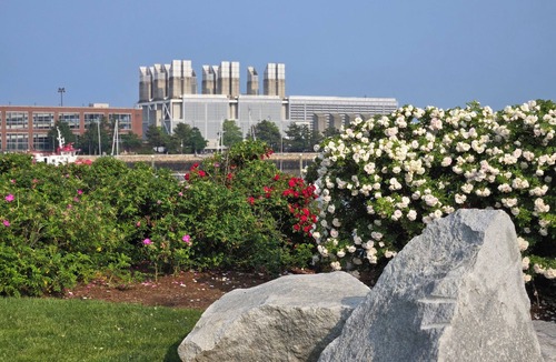 Jeffries Point Apartment | Harborside Walk to Subway