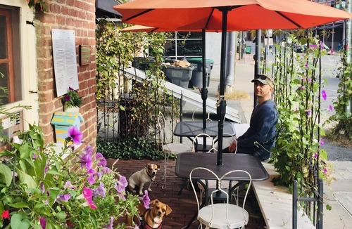 Belmont House | Historic Beauty and Walkable to Everywhere