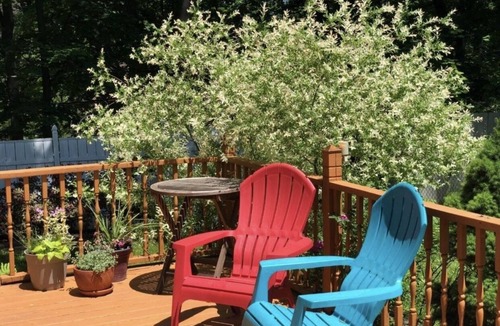Albany House | Hot tub and private dead end road -super comfy cozy stay in Albany, NY.