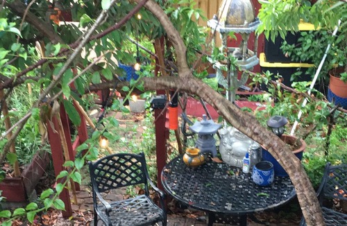 Little Haiti Apartment | house of zen miami