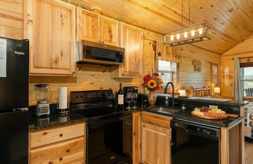 Stanley Cabin | HUGE summer SAVINGS LURAY Mountain getaway Private Log cabin 7 Hot Tub Fireplace