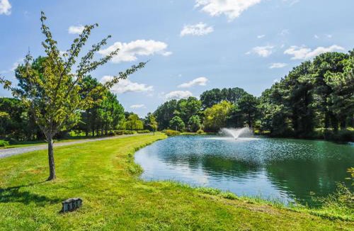 Royal Oak House | Jewel of the Tred Avon