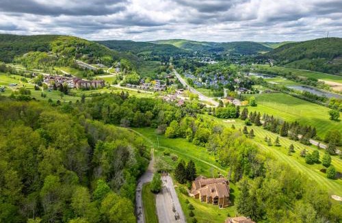 Ellicottville House | King Bed Patio Scenic Views Pickleball