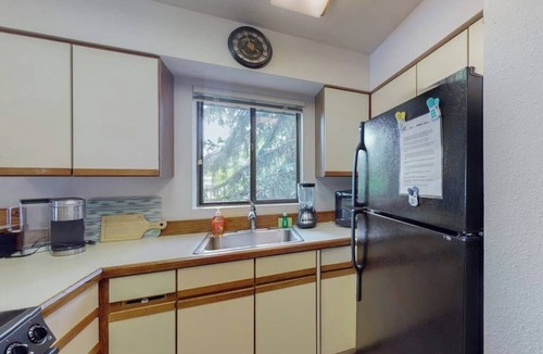 Bigfork Condo | Lakefront condo with balcony, stunning views, fast WiFi & W/D