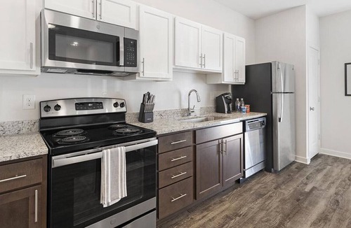 Suffolk Apartment | Landing at Park 216 Apartments - 1 Bedroom in Downtown Suffolk