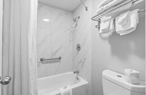 Lantana Hotel | Lantana Palm Hotel by Innexo
