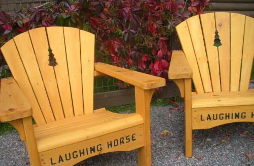 Swan Lake House | Laughing Horse Lodge