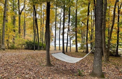 Bumpass House | License To Chill - Lakefront/Screened in Porch