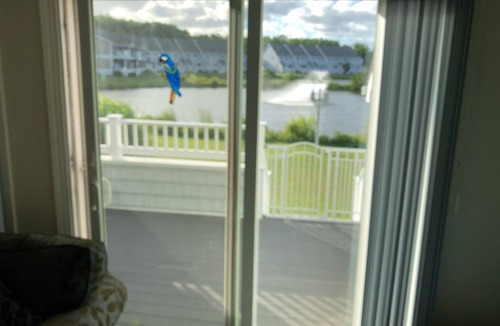West Ocean City House | Lovely Beach Townhouse- Wed-Wed weeks or 20% off ENTIRE month of July available!