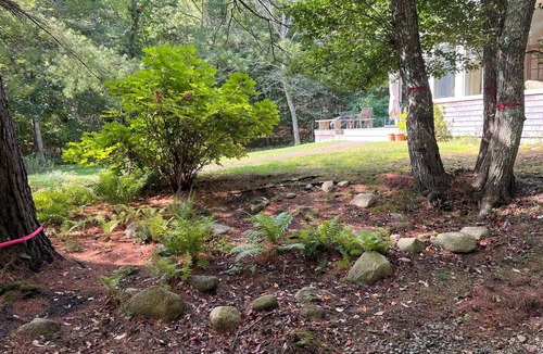 Vineyard Haven House | lovely Lambert's Cove home, walking to beach and two swimming ponds.