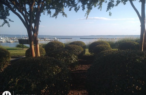Kingsmill Apartment | Lovely large room by river in "Kingsmill on the James"